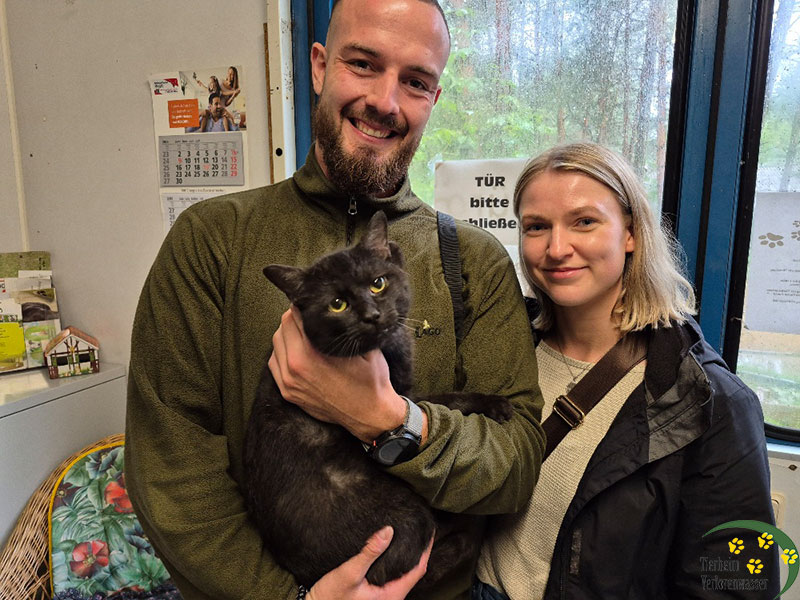 willy, Kater aus dem Tierheim