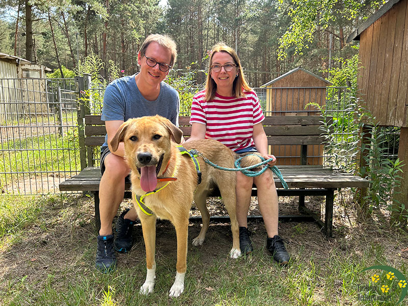 emilio hund aus tierheim 1