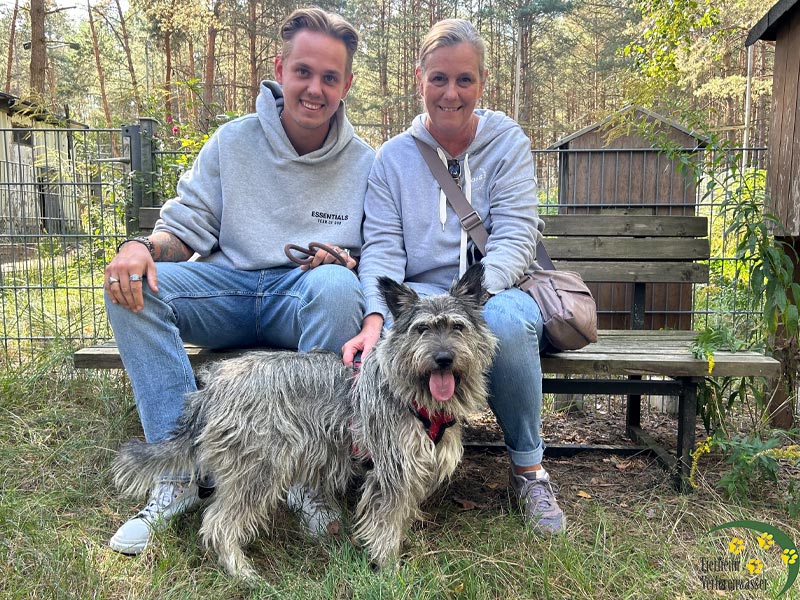 hund chili im Tierheim Brandenburg