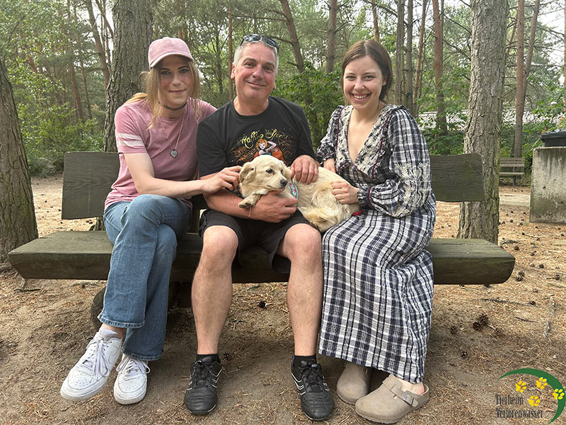 Ivana, Tierheim Verlorenwasser, Bad Belzig