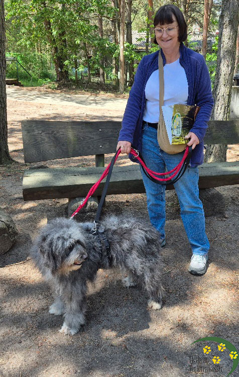 hund aus tierheim brandenburg gina 2