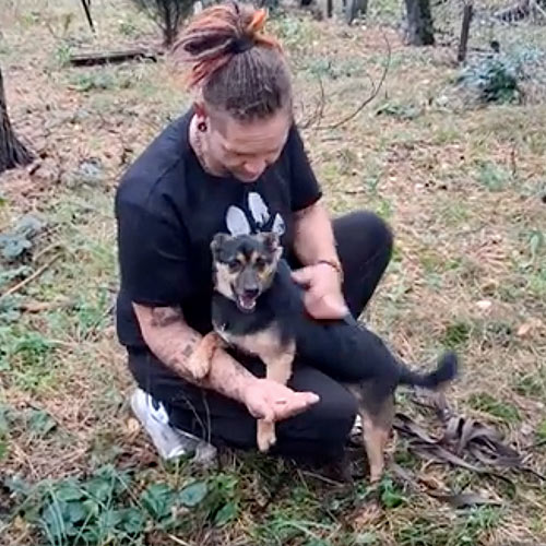 alf, Hund aus dem Tierheim