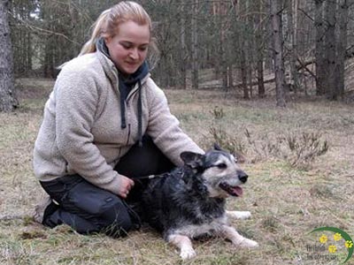 Hund Gufi aus Tierheim Brandenburg