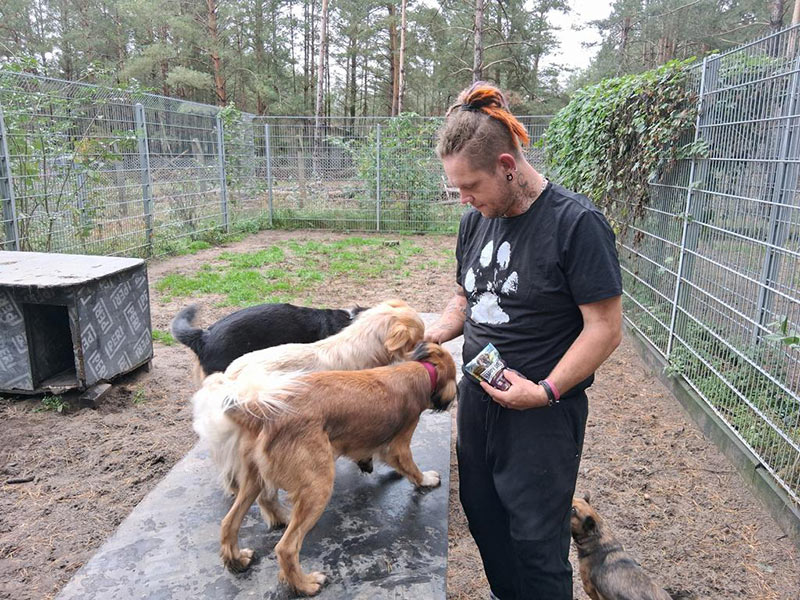 neue hunde im Tierheim Verlorenwasser: Lou, Lady, Daisy, Ramona