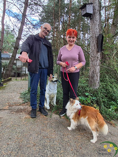 rowena, Hund aus dem Tierheim