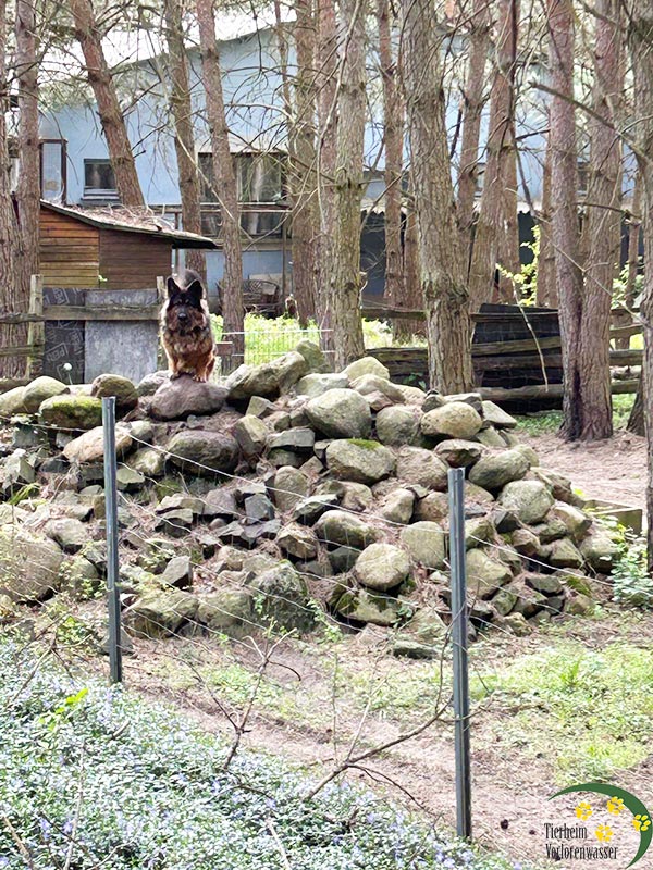aussichtsturm barney