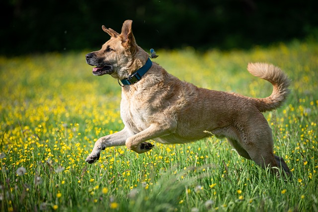 Tierheim Verlorenwasser - Bald kommt der Frühling