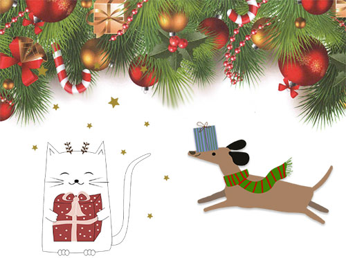 Tierheim Verlorenwasser - Weihnachten im Tierheim