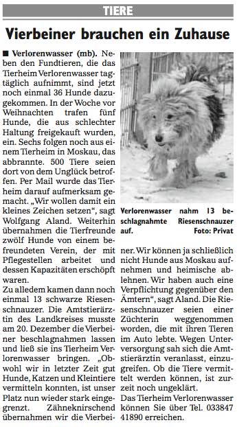 Wochenspiegel_KW53