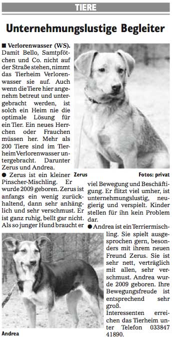 Wochenspiegel_KW27