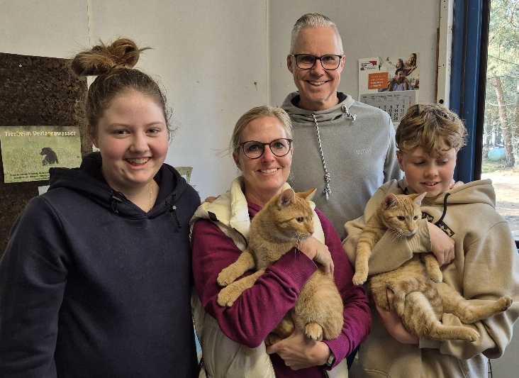 garfield katze aus tierheim