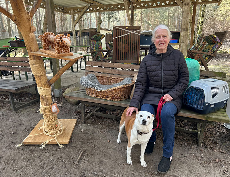 hund snow aus dem Tierheim