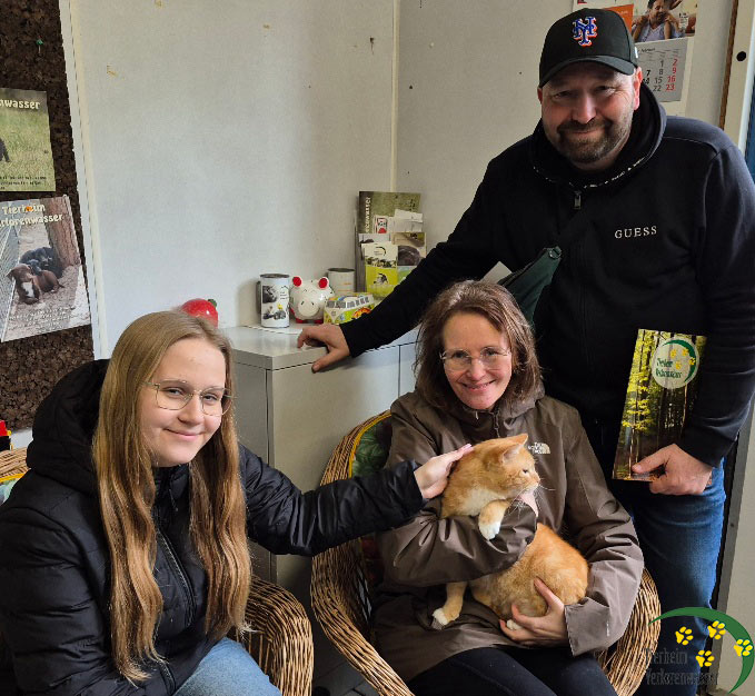 herkules katze aus dem tierheim vermittelt